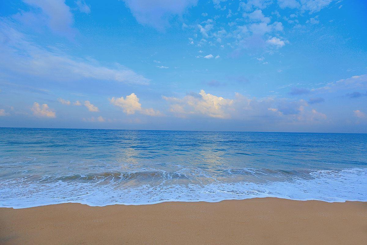 PANDANUS BEACH — фото 7