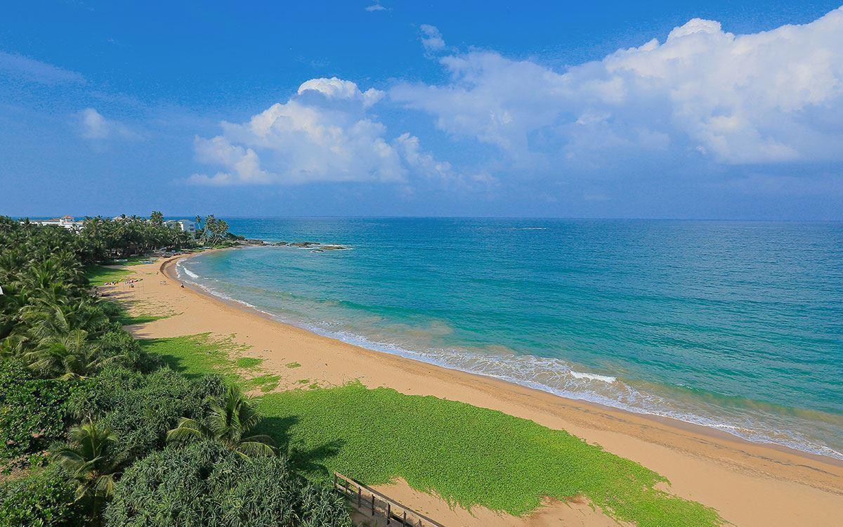 PANDANUS BEACH — фото 8