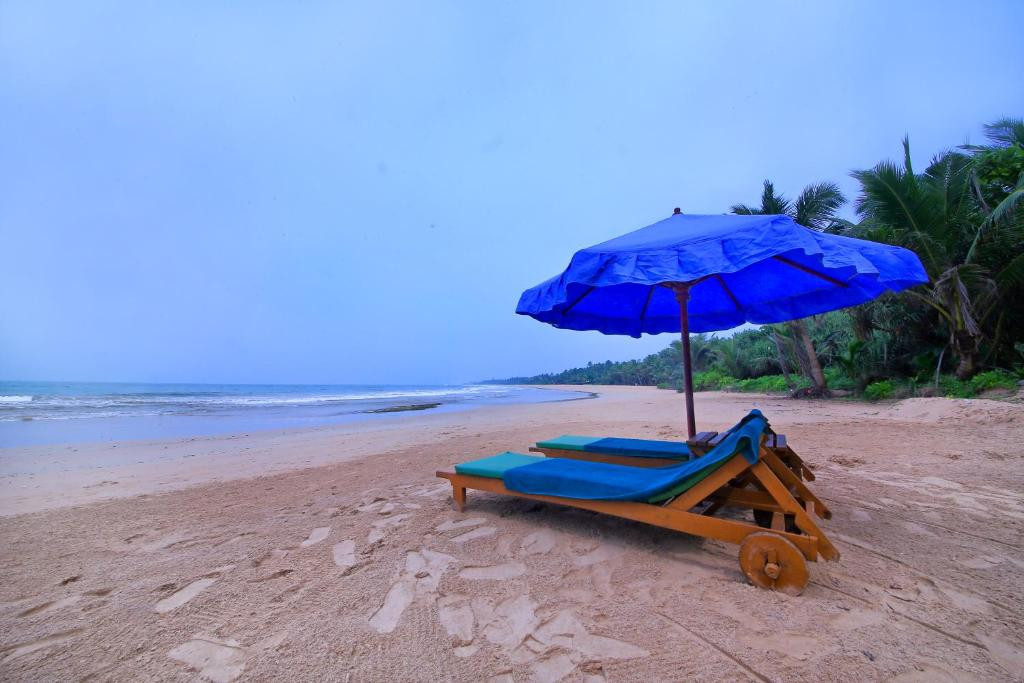 ROCKSIDE BEACH RESORT — фото 13