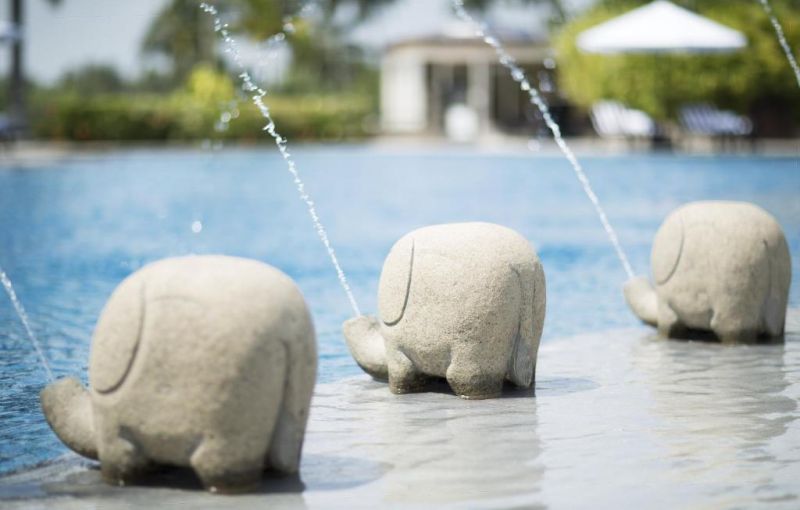 TAJ BENTOTA RESORT & SPA (EX. VIVANTA BY TAJ BENTOTA; TAJ EXOTICA) — фото 8