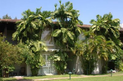 TROPICAL VILLAS