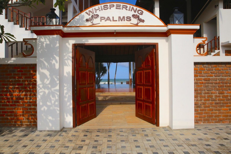 WHISPERING PALMS — фото 8
