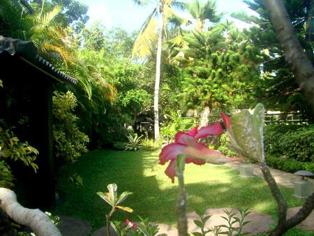 GARDEN BEACH — фото 8