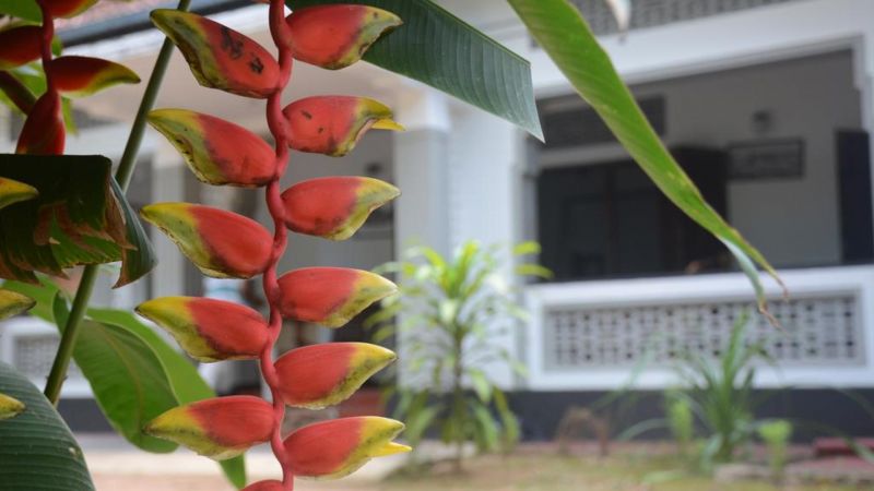 GALLE STAR — фото 8