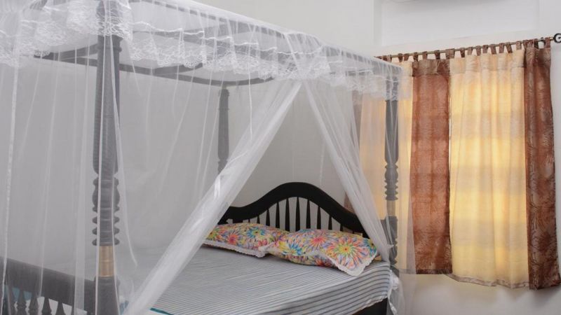 GALLE STAR — фото 16