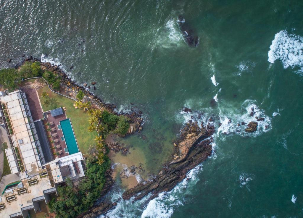 LE GRAND GALLE — фото 8