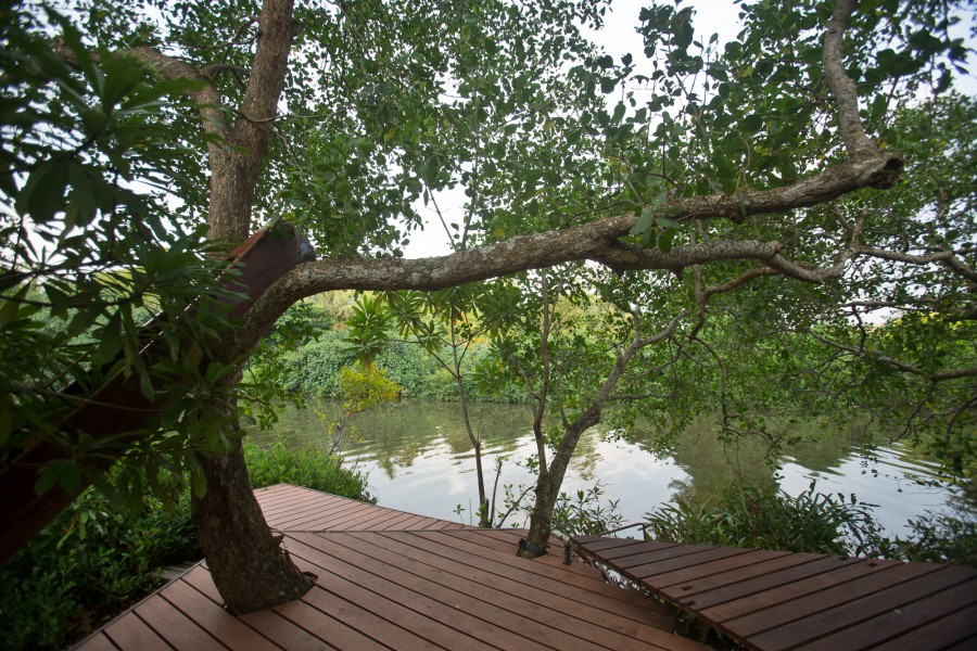 TAMARIND HILL — фото 17