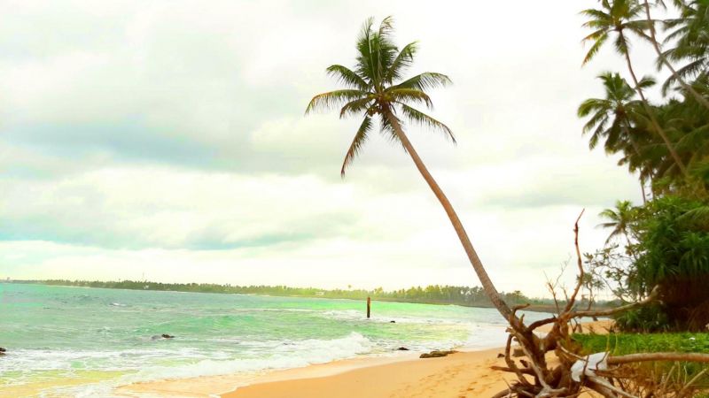AKURALA BEACH BOUTIQUE RESORT — фото 2