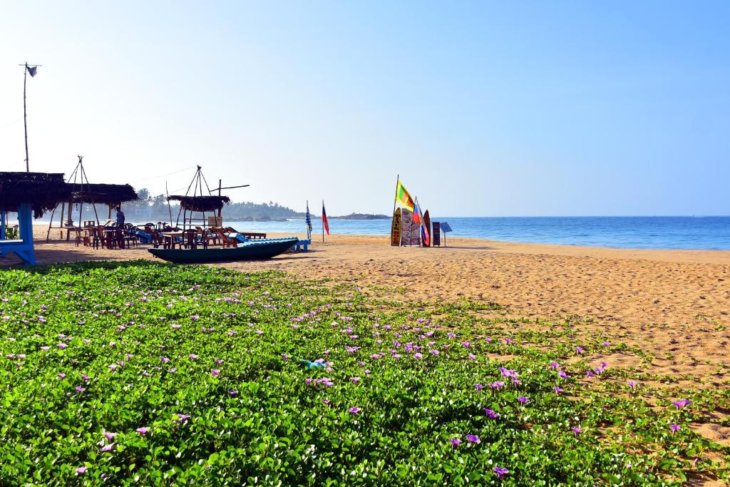 ALIYA ALIYA HIKKADUWA — фото 16