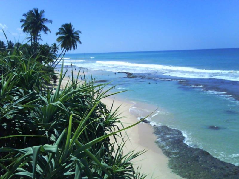 BEAUTY CORAL RESORT — фото 16
