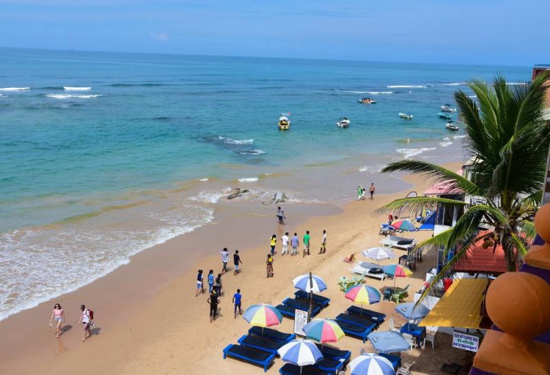 DOLPHIN & BEACH RESTAURANT