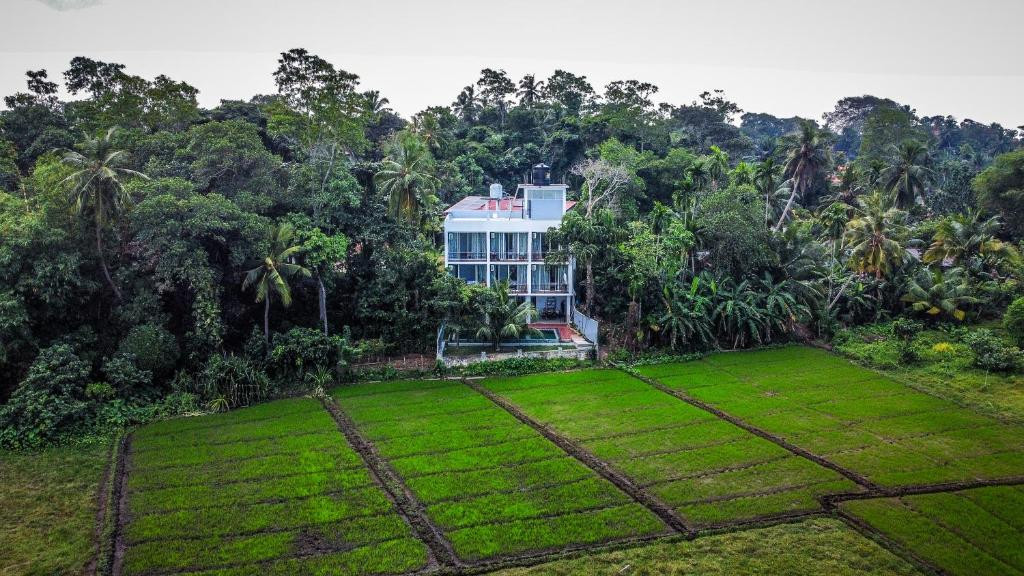 GREEN EDGE VILLA HIKKADUWA — фото 4
