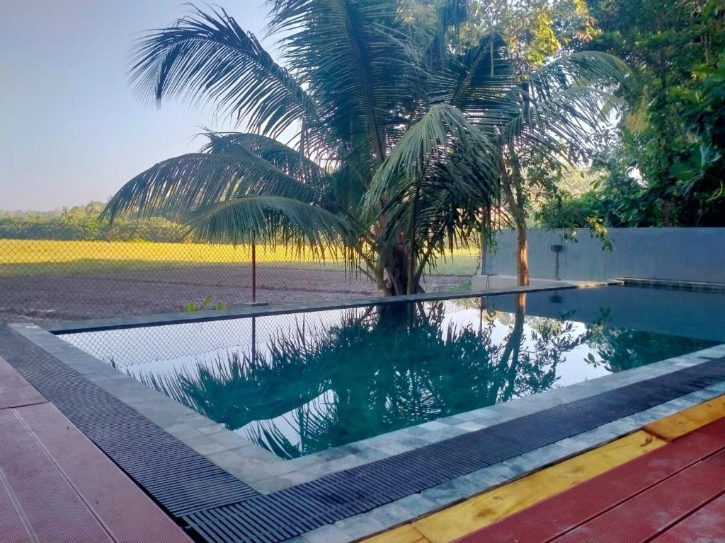 GREEN EDGE VILLA HIKKADUWA — фото 13