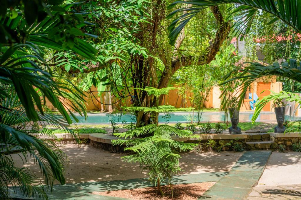 MONKEY VILLA — фото 6