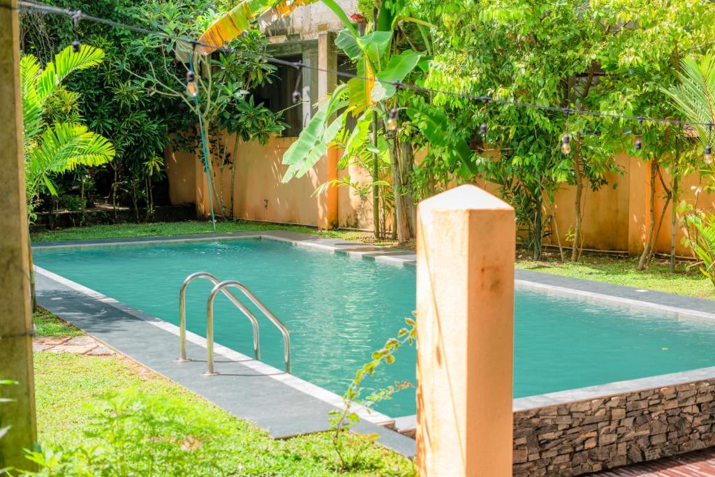 MONKEY VILLA — фото 13