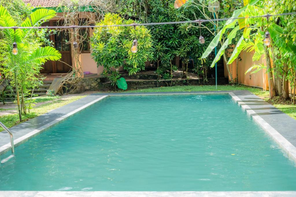 MONKEY VILLA — фото 14