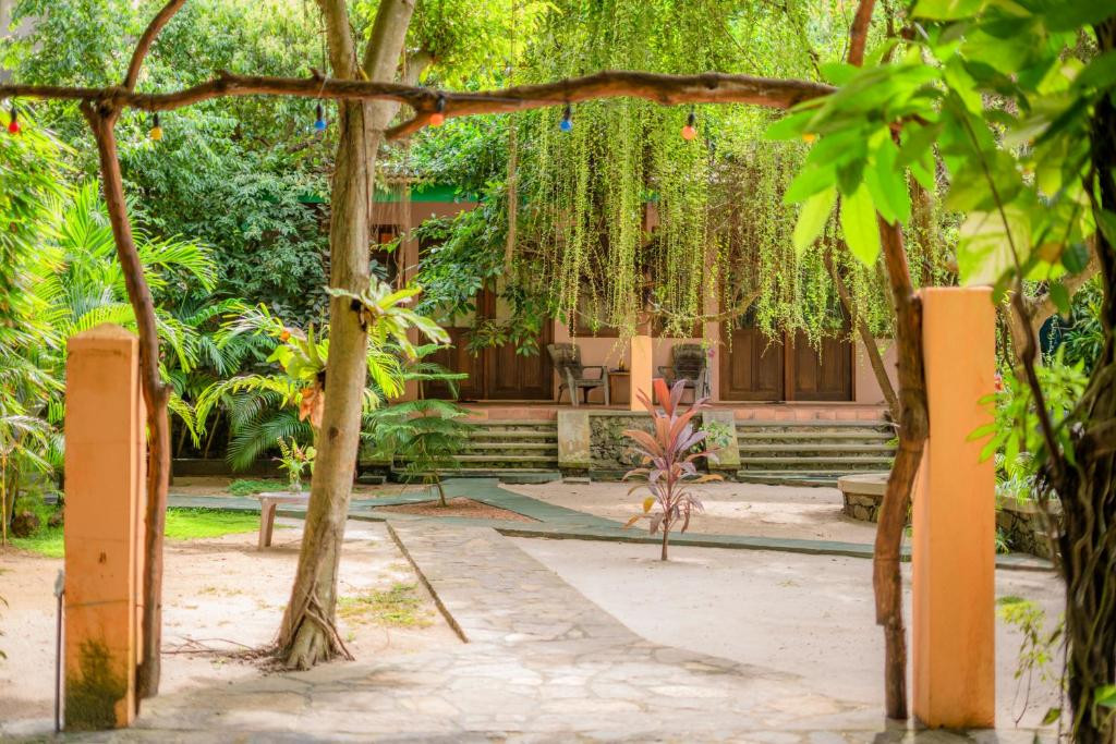 MONKEY VILLA — фото 15
