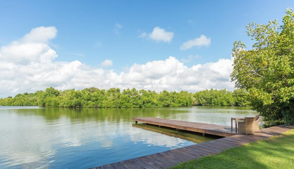 ROMAN LAKE BALAPITIYA — фото 12