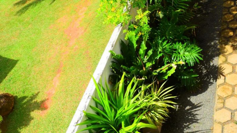 ROYAL GUEST HOUSE — фото 11