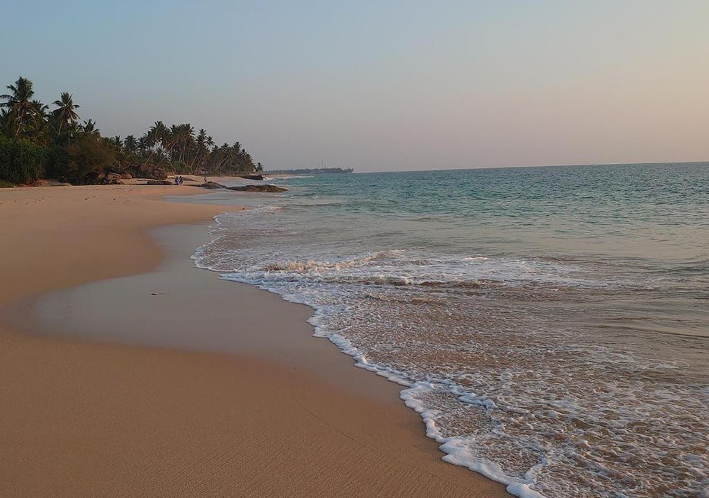 SEA BREEZE AMBALANGODA — фото 10