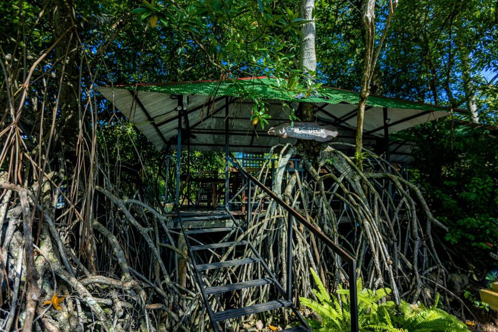 THE MANGROVE CAVE HOTEL — фото 2