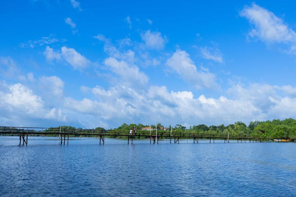 THE MANGROVE CAVE HOTEL — фото 14