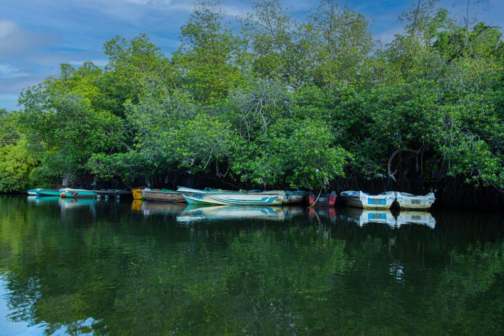 THE MANGROVE CAVE HOTEL — фото 15