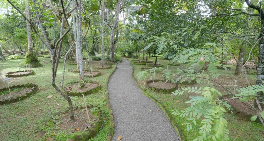 DALMANUTA GARDENS AYURVEDIC RESORT & RESTAURANT — фото 8