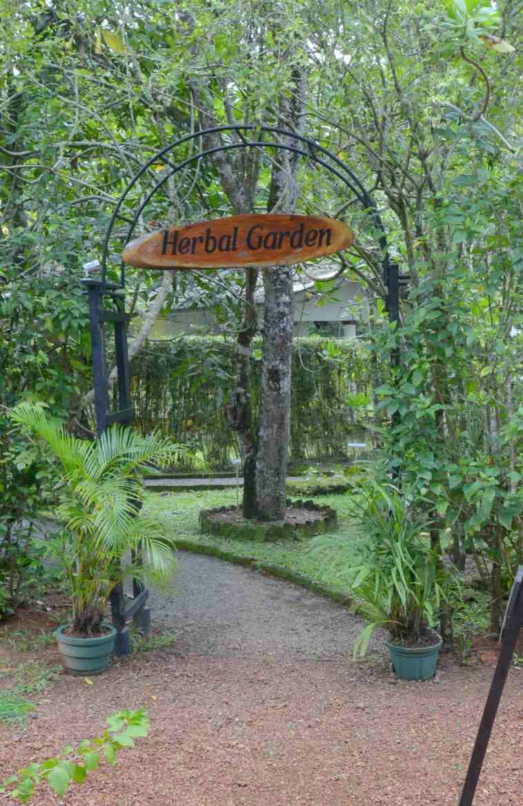 DALMANUTA GARDENS AYURVEDIC RESORT & RESTAURANT — фото 9