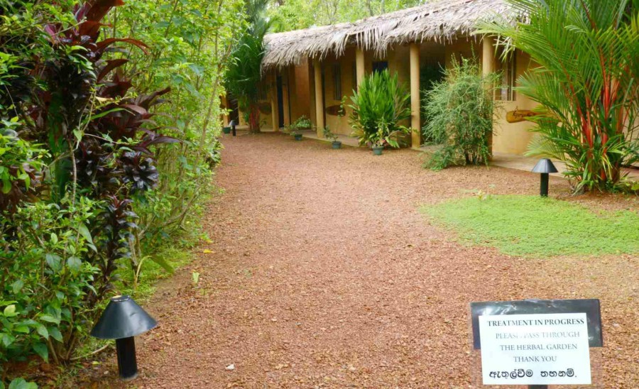 DALMANUTA GARDENS AYURVEDIC RESORT & RESTAURANT — фото 10