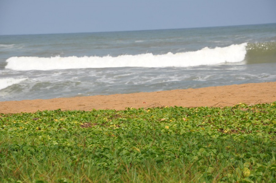 LAYA BEACH — фото 12