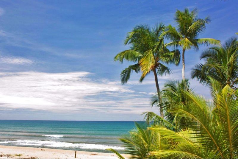 SHALIMAR BEACH RESORT — фото 12