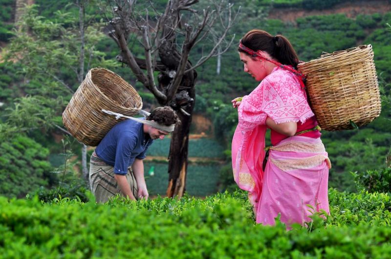 HERITANCE TEA FACTORY — фото 3