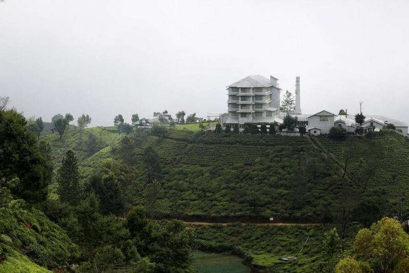 HERITANCE TEA FACTORY — фото 15