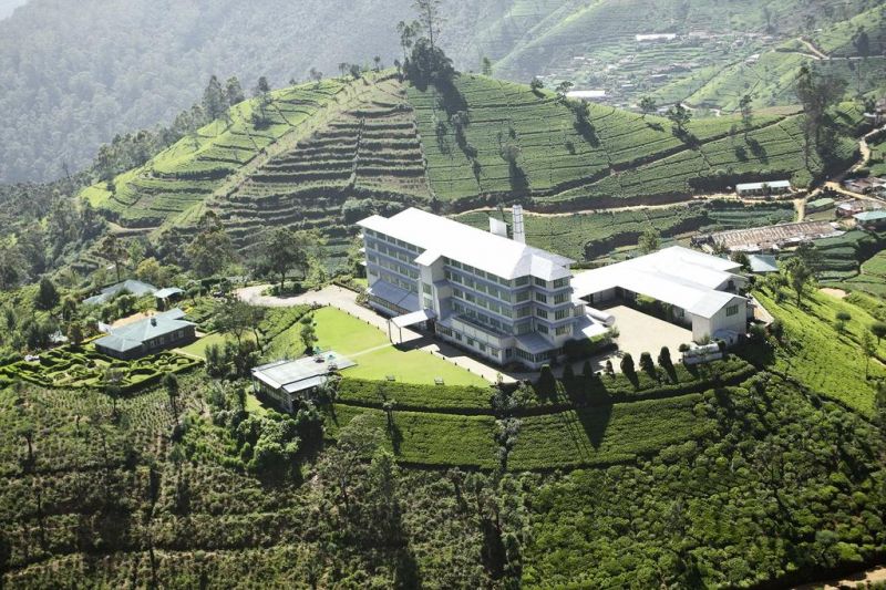 HERITANCE TEA FACTORY — фото 16