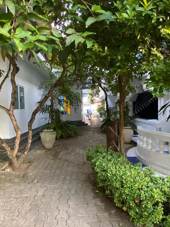 ALMA BEACH — фото 15