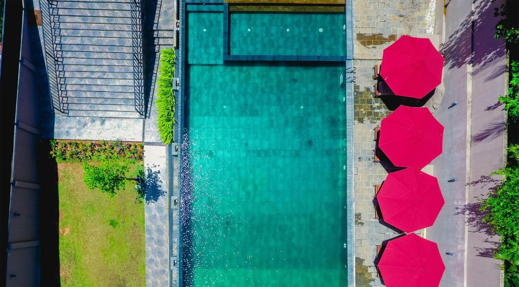 BALLENA REGENCY — фото 6