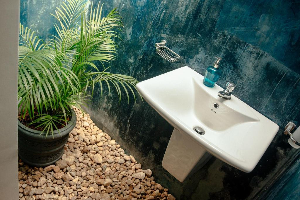 JUNGLE SOUL HOTEL — фото 4