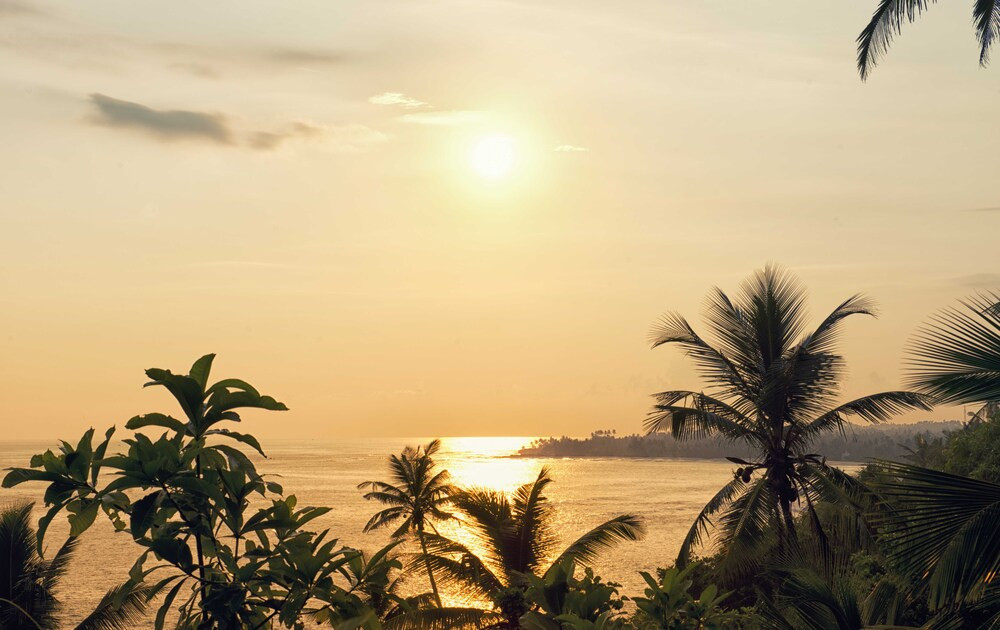 LUXURY VILLA 18 (POINTE SUD) — фото 12