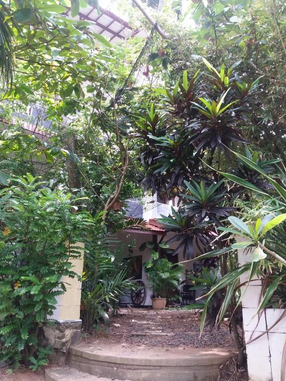 PEACOCK WINGS GUEST HOUSE — фото 10