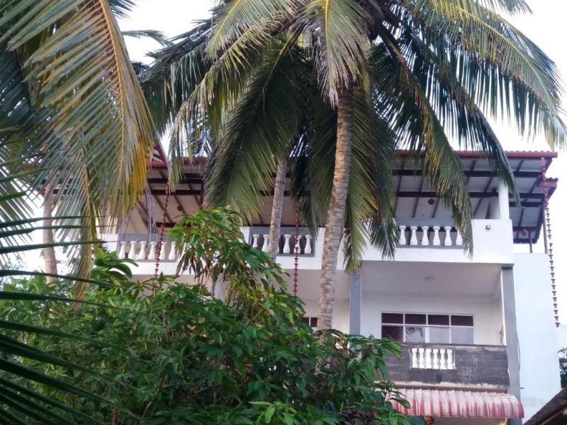 PEACOCK WINGS GUEST HOUSE — фото 11