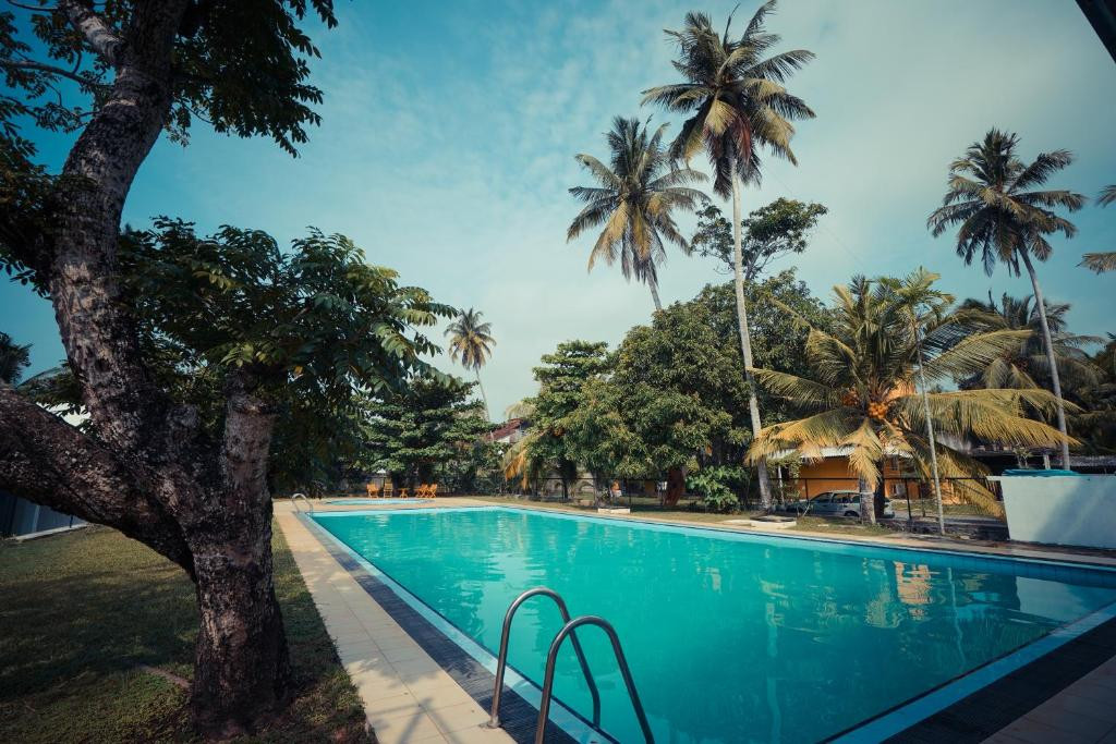 POLHENA REEF GARDEN — фото 11