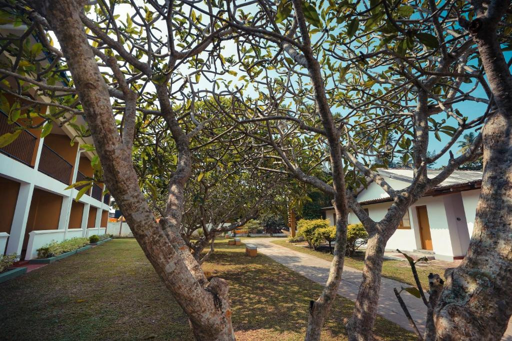 POLHENA REEF GARDEN — фото 13