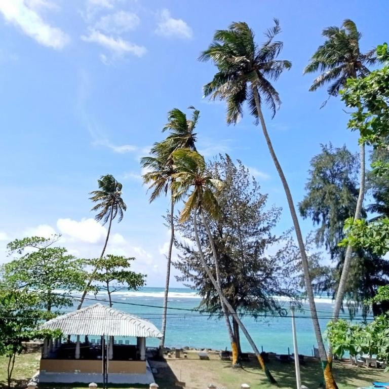 POLHENA REEF GARDEN — фото 18