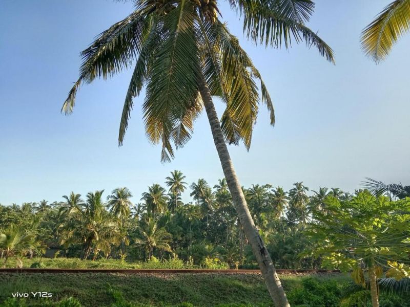RAVINVILLA HABARADUWA — фото 12