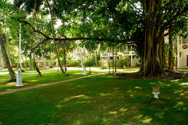 SURYA LANKA AYURVEDA BEACH RESORT — фото 12