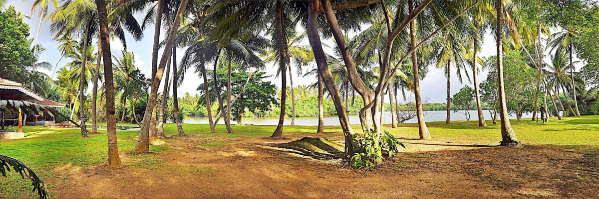 VILLA MODARAWATTHA — фото 2