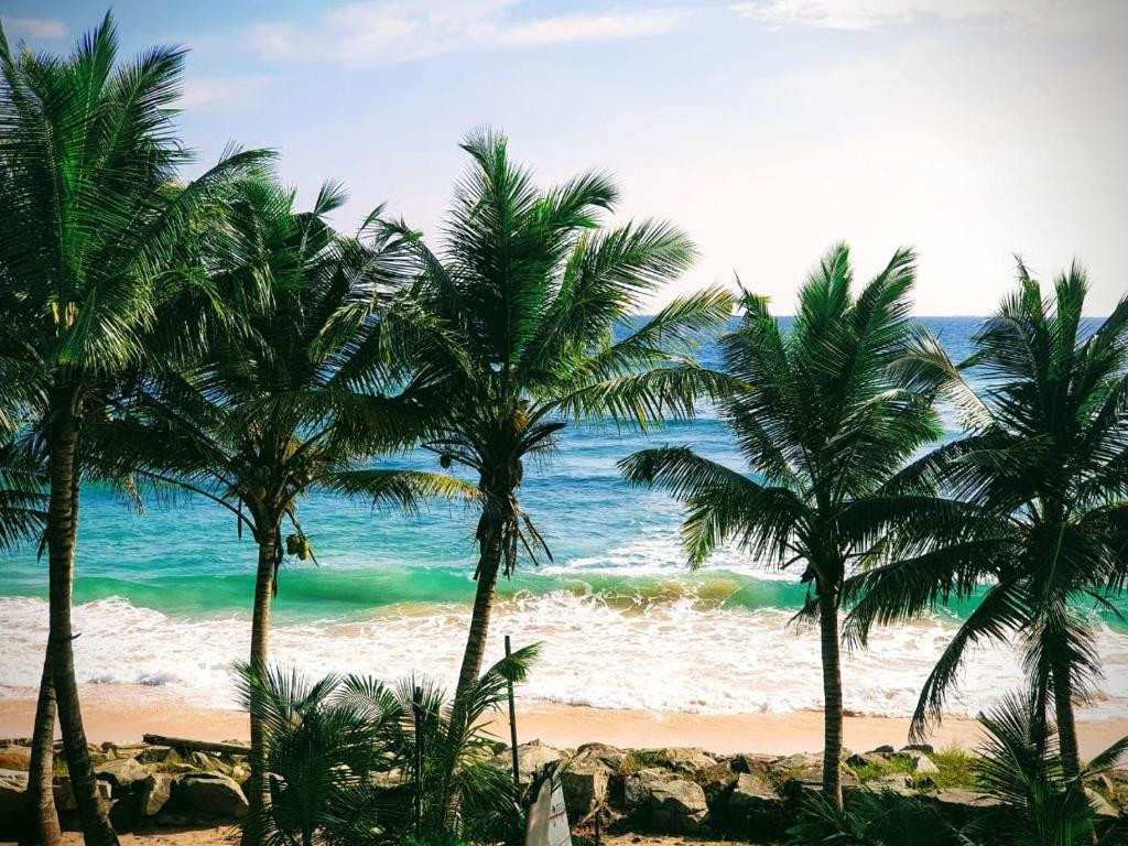 WHITE SURFING BEACH RESORT — фото 3
