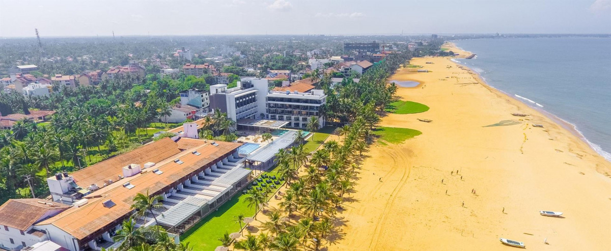 GOLDI SANDS — фото 2