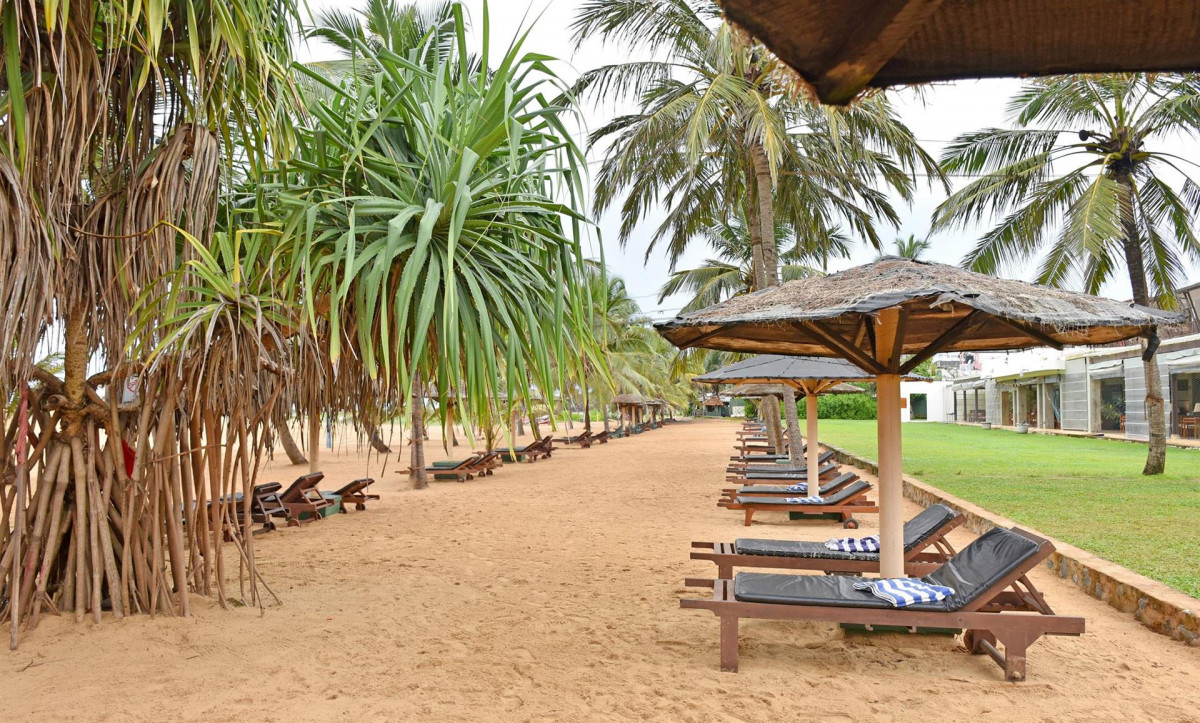 GOLDI SANDS — фото 17